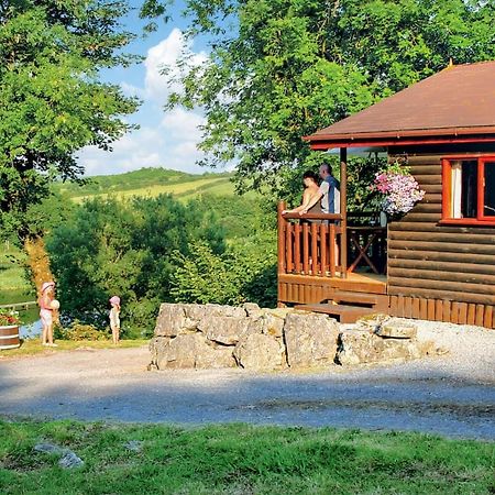 Garnffrwd Park Hotel Llanddarog Екстериор снимка