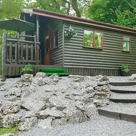Garnffrwd Park Hotel Llanddarog Екстериор снимка