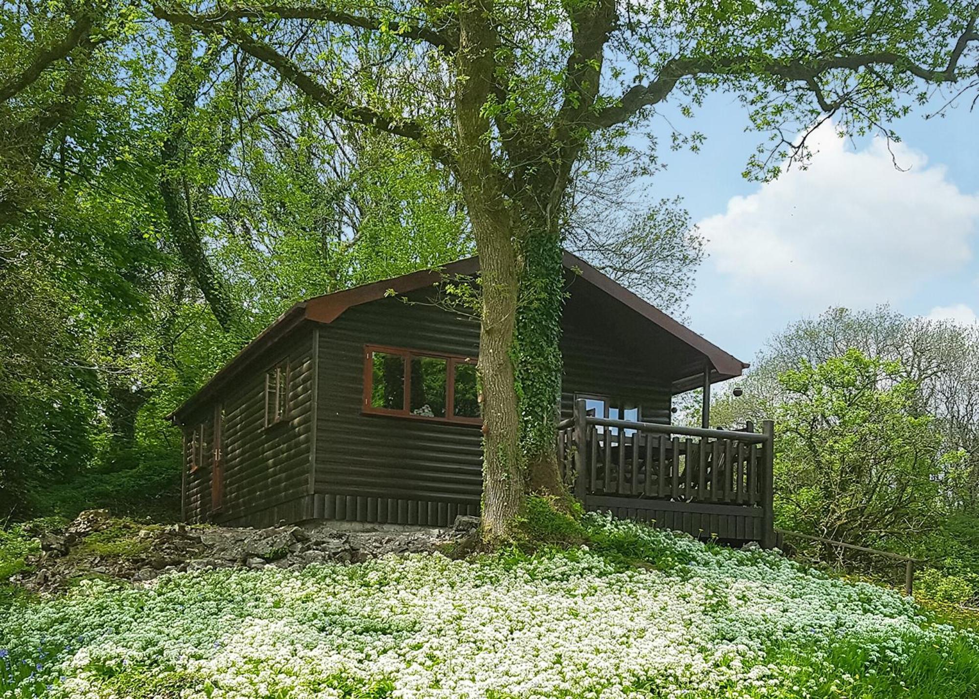 Garnffrwd Park Hotel Llanddarog Стая снимка