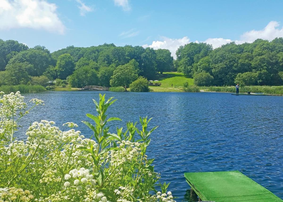 Garnffrwd Park Hotel Llanddarog Екстериор снимка